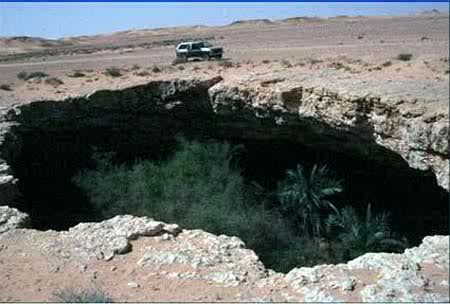 تم اكتشاف غابة في السعودية تحت الارض في الربع الخالي  208962_01237148755